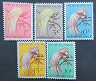 [Bird of Paradise, 类型 E]