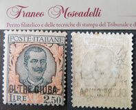 [King Victor Emmanuel of Italy - Italian Stamps Overprinted "OLTRE GIUBA", प्रकार H2]