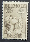 [The struggle against Tuberculosis, type EW3]