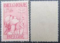 [The struggle against Tuberculosis, type EW4]