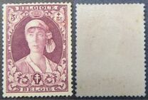 [The struggle against Tuberculosis, type DZ6]