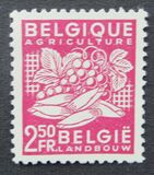 [National Industry - New values, වර්ගය NP1]