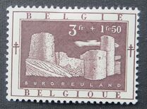 [The struggle against Tuberculosis, type RM]