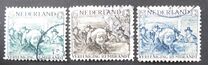 [Rembrandt, type BU]