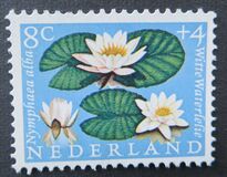 [Charity Stamps, typ NV]