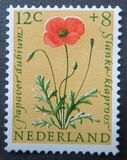 [Charity Stamps, typ NV]