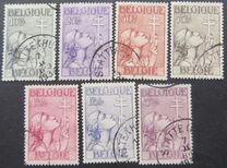 [The struggle against Tuberculosis, type EW]
