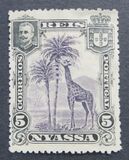 [Giraffe, type C1]