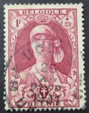 [The struggle against Tuberculosis, type DZ4]