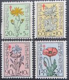 [Flowering Plants - The Struggle against Tuberculosis, տեսակ OV]