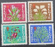 [Plants - The struggle against Tuberculosis, Tip PO]