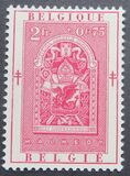 [The struggle against Tuberculosis, type RL]