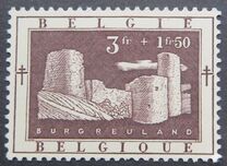 [The struggle against Tuberculosis, type RM]