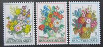 [Flower Exhibition in Gent, tip AZQ]