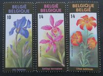 [Flower Exhibition in Gent, type BNN]