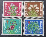 [Plants - The struggle against Tuberculosis, тып PO]