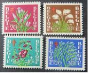 [Plants - The struggle against Tuberculosis, тып PO]