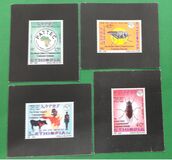 [Pan African Tsetse & Trypanosomiasis Campaign, type BFB]