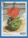 [Flowering Cacti, type TV]