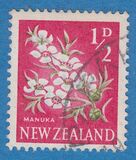 [Local Motifs - Flowers, type GR]