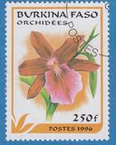 [Orchids, Tipo PH]