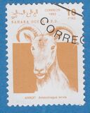 [Stamps marked "République Sahraoui", "Saharan Republic" or "Sahara Occ. R.A.S.D" relate to a disputed area. The Morocco Postal Service has stated that they do not regard these stamps as legitimate, type A]