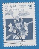 [Stamps marked "République Sahraoui", "Saharan Republic" or "Sahara Occ. R.A.S.D" relate to a disputed area. The Morocco Postal Service has stated that they do not regard these stamps as legitimate, type A]