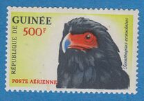 [Airmail - Birds, タイプ BD2]
