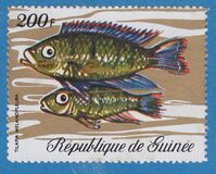 [Fish, Вид LI]