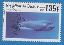 [Marine Mammals, type VL]