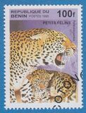 [Big Cats and their Young, Tipi RE]