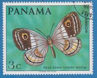 [Butterflies, Tipe WV]
