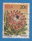 [Flora - Protea Plants, Typ PR]