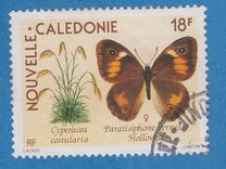 [Airmail - Flowers and Butterflies, type UP]