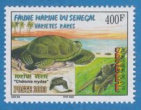 [Marine Life, Tüüp BPQ]
