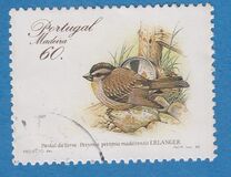 [Rare Birds, Tip CE]