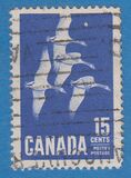 [Canada Geese, type JI]