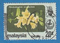 [Flowers - Without Watermark, tegund BC2]