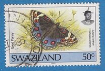 [Butterflies, type OW2]