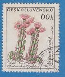 [Flowers, Tipo ZH]