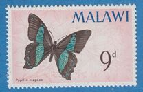 [Malawi Butterflies, type X]