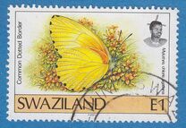 [Butterflies, type OZ2]