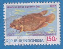 [Fish, tipas AVE]