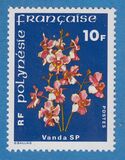 [Flowers, タイプ IY]