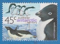 [Penguins, type DS]
