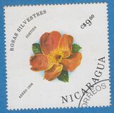 [Wild Roses, type BQY]