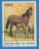 [Horses, type UE]