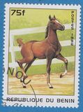 [Horses, type UD]