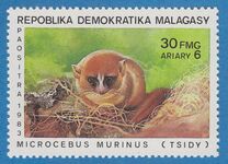 [Monkeys, Вид ABV]