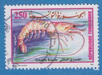 [Crustaceans, тип AJW]